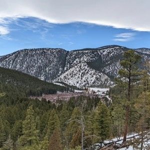 Meet your Posher, Mallory